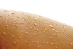 Thalaxoterm Wellness